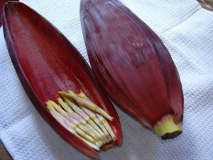 Banana Blossom