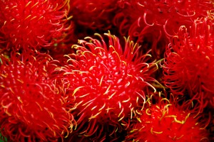 Rambutan